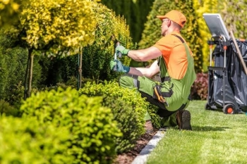 Solicito jardinero profesional completo