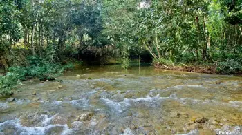 Finquitas de veraneo con río en boya monte plata 2500mt.