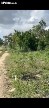 Solar 1000 mt. cerca de la marginal las américas