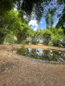 Vendo solar a precio de introducciÓn jarabacoa