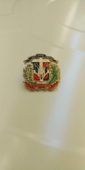 Pin del escudo plateado