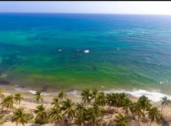 Venta de terreno en playa nisibon del municipio de higey la altagracia