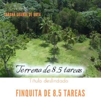 Finquita de 8.5 tareas sabana grande de boya - monte plata.