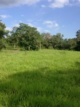 Vendo finca de 2700 tareas de oportunidad en bayaguana