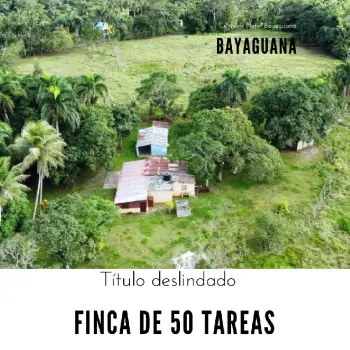 Finca de 50 tareas con vocación agrícola y ganadera con casa campestre