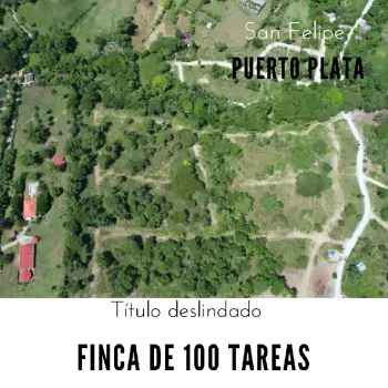 Vendo finca de 100 tareas eco-turísticas en puerto plata