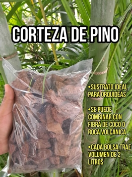Corteza de pino para plantas