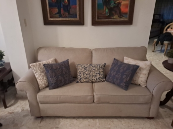 Sofa de dos plazas usado