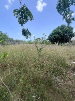 Venta de solares en brisas del valle en las charcas