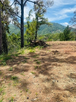 Solares en venta en jarabacoa rd