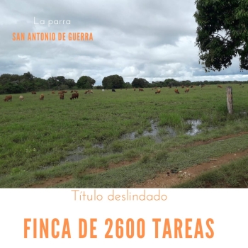 Finca de 2600 tareas con vocación ganadera y agrícola en san antonio d