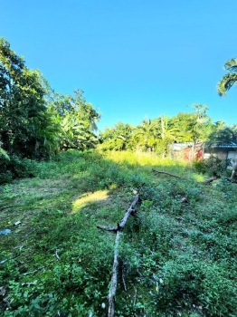 Terreno en venta