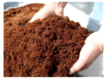 Sustrato para plantas paja de coco molida