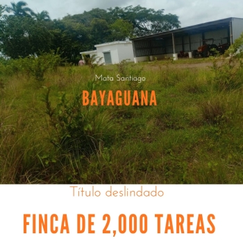 Finca de 1989 tareas con vocación agrícola y ganadera en bayaguana