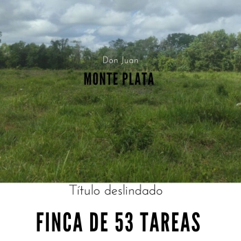 Finca de 53 tareas con vocación agrícola y ganadera en monte plata