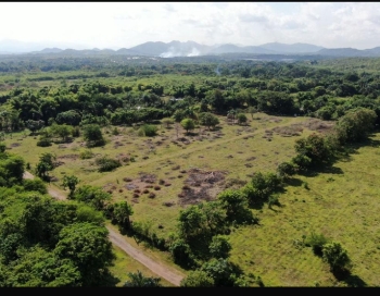 Terreno con potencial industrial o agropecuario