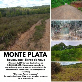 Oportunidad finca de 3260 tareas apta para la ganadería y agricultura