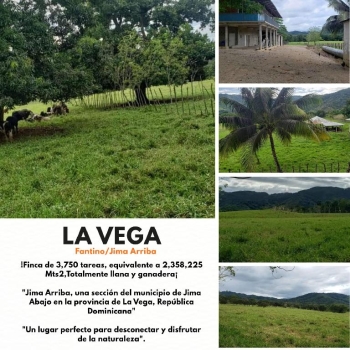 Finca de 3750 tareas ganaderas totalmente equipadas en  la vaga