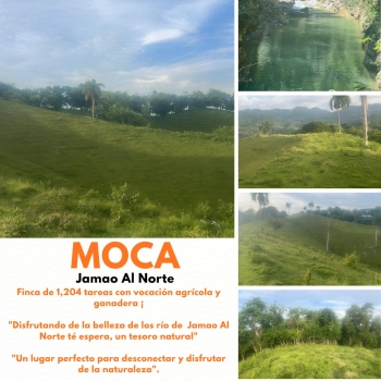 Oportunidad finca de 1204 tareas con vocación agrícola y ganadera en j