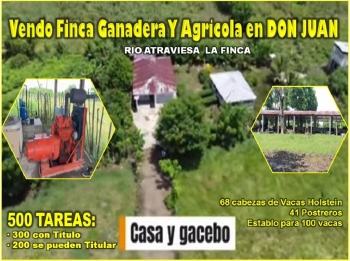 Vendo super finca ganadera y agrícola  de 500 tareas en don juan monte