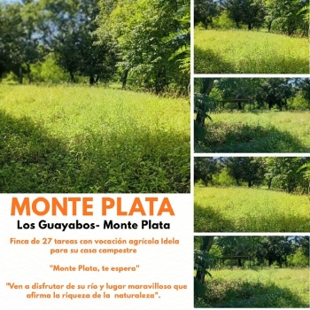 Finca de 27 tareas con vocación agrícola ideal para su casa campestre