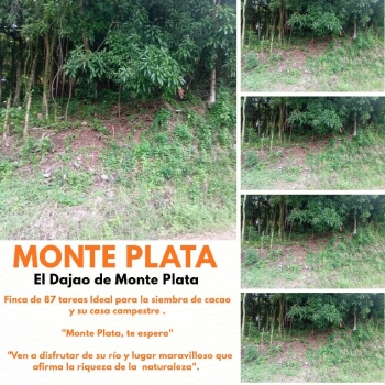 Finca de 87 tareas en su mayoría sembradas de cacao en monte plata