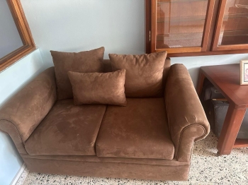 Vendo- sofa de oportunidad