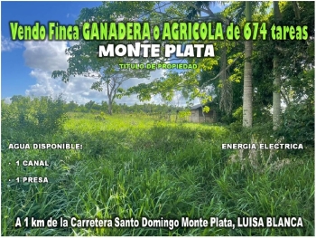 Vendo finca ganadera o agricola  de 674 tareas en luisa blanca monte p