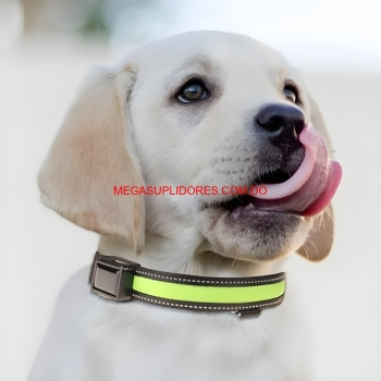  collar solar led para perro iluminado seguridad nocturna 40cm/50cm