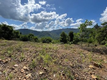 Vendo 3140 m2.  en el limón. próximo a la cuaba. terreno de montaña.