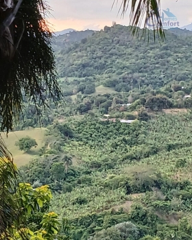 Venta de finca en moca
