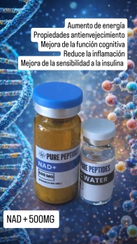 Nad peptide ???????? en santo domingo dn