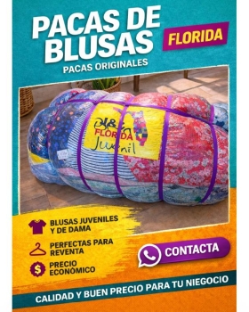 Paca de blusa jc florida