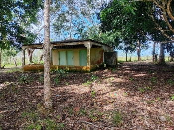 Finca de 40 tareas con vocación agrícola ideal para casa campestre en