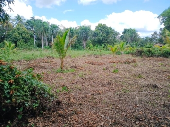 Finca de 20 tareas ideal para casa campestre en monte plata