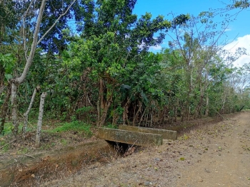 Finca de 69 tareas con vocación agrícola ideal para casa campestre en