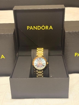 Artículos relojes pandora