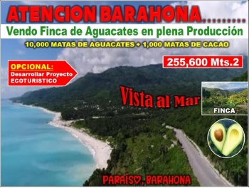 Vendo finca de aguacate en paraíso barahona 255600 mts.2 vista al mar