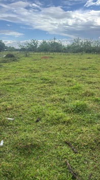 Finquita de 1.91 tareas ideal para su casa campestre en el bosque mont