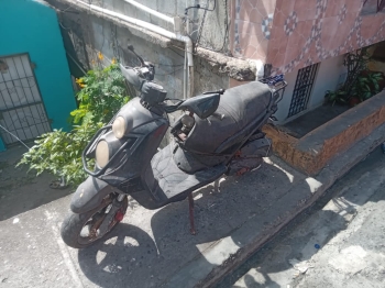 Pasola super gato 150 bws