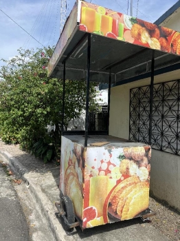 Se vende carrito de empanadas o fritura  en monseñor nouel