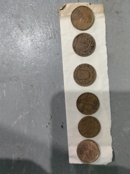 Chele de palmita  moneda antigua república dominicana