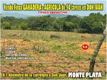 Vendo finca ganadera – agricola de 50 tareas en don juan monte plata