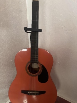 Guitara jg-100 pk