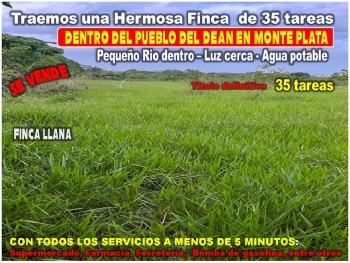 Vendo finca ganadera – agricola de 35 tareas dentro del dean monte pla