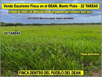 Vendo finca ganadera – agricola de 22 tareas dentro del dean monte pla