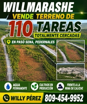 Vendo terreno en pedernales de 110 tareas