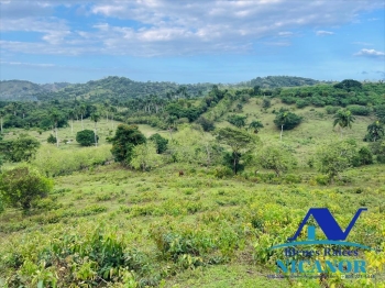 Finca ganadera en venta de 2300 tareas en adelante