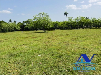 Finca de 825 taraes en venta