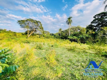 Finca de 1150 tareas en venta en guananico